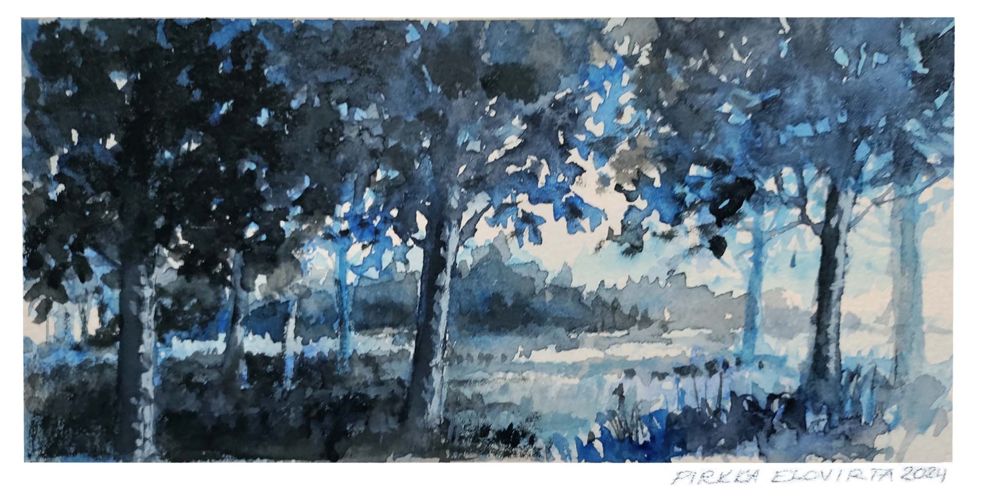 vesiv&auml;rity&ouml;